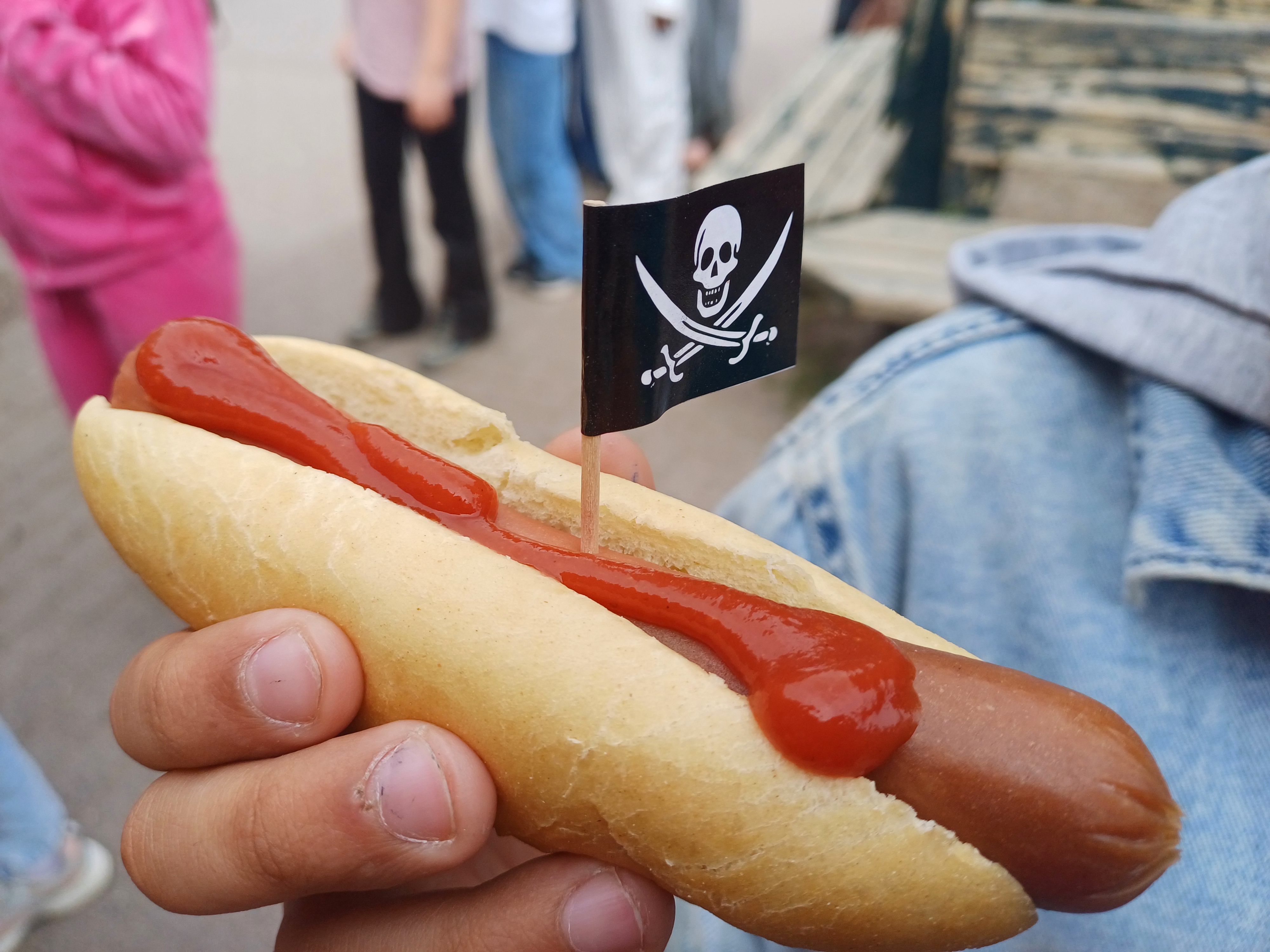 Pirater 2.jpg