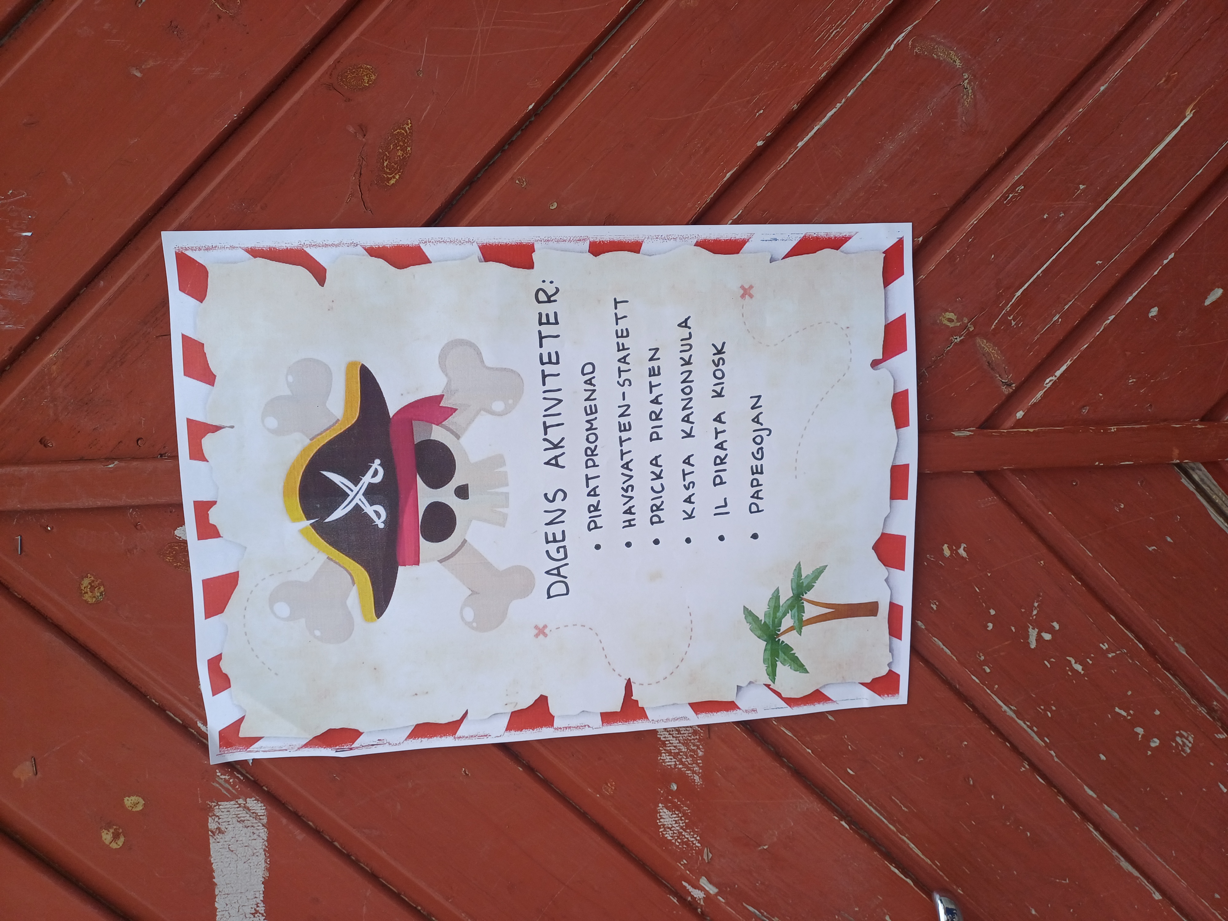 Pirater 5.jpg